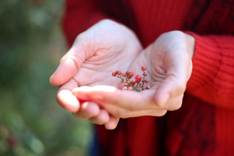 הדרכה מקצועית למטפלות מגע התמקדות